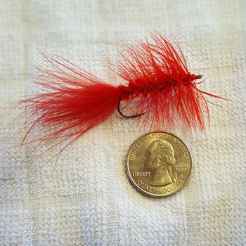 Red wooly bugger fly for lake trolling.
