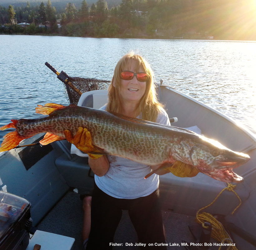 Debra Jolley's tiger muskie, catch and release, measured 43 in.  