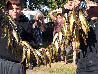 Boys displaying prize-winning catch of yellow perch.